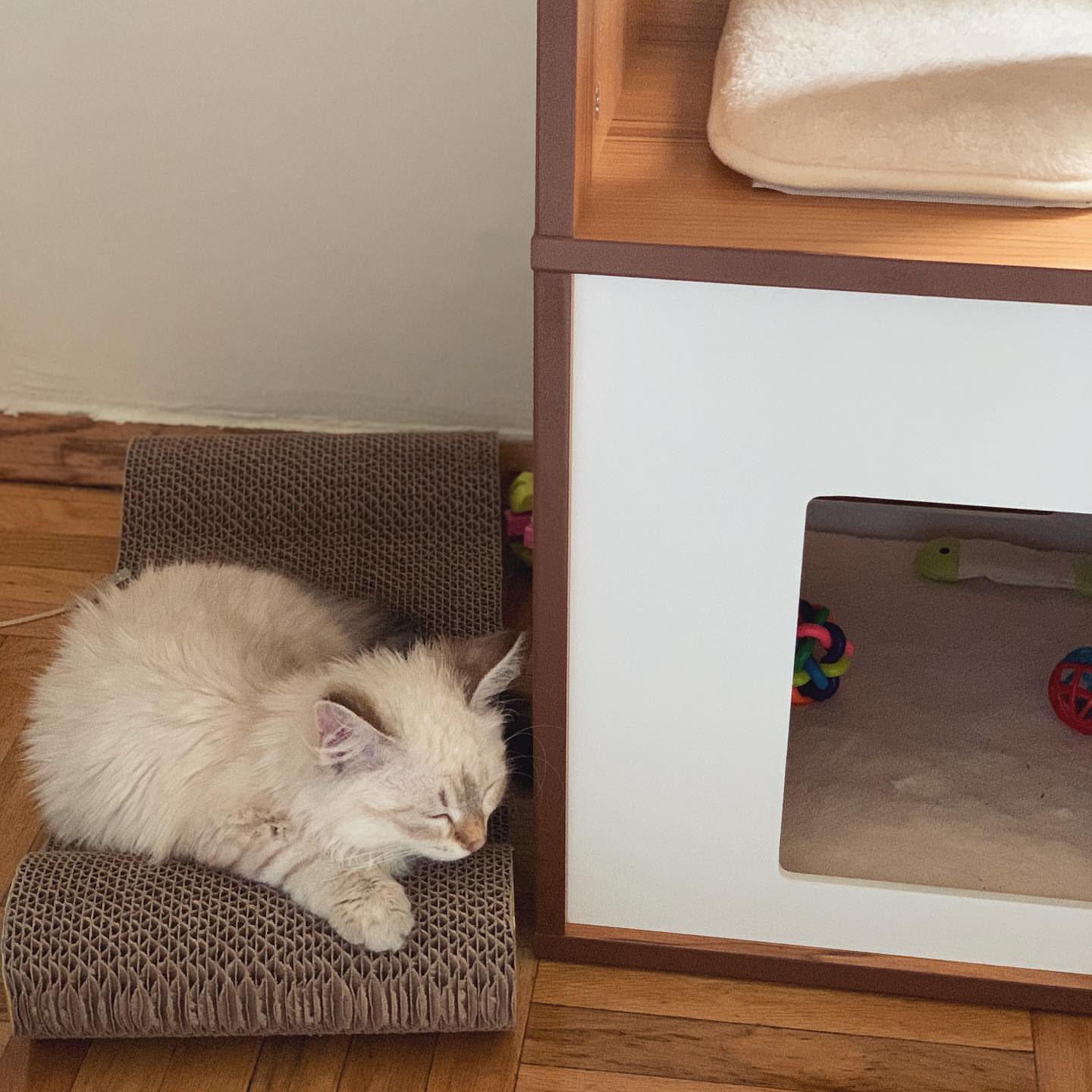 ACE - SIBERIAN - RESERVATION - Image 18